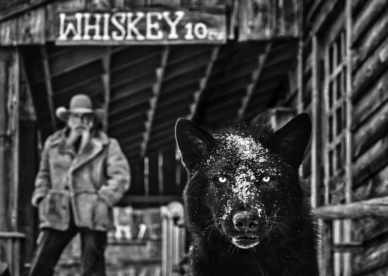 David Yarrow, ‘It Was The Whiskey Talking’, 2022, Photography, Archival Pigment Print, CAMERA WORK