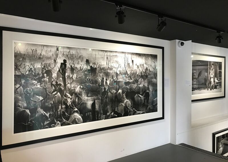 David Yarrow, ‘Exodus’, Photography, Kunsthuis Amsterdam