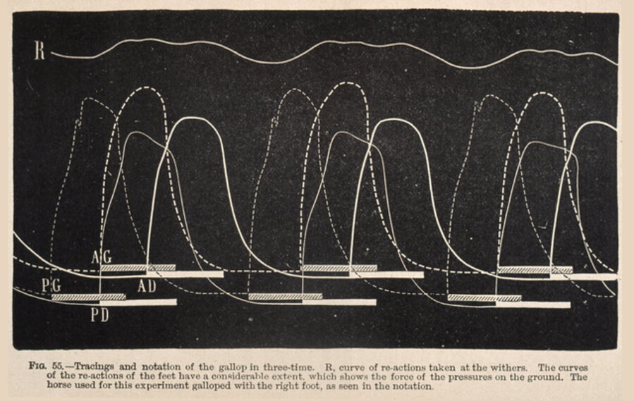 Fig. 55: Tracings and notation of the gallop in three-time ...