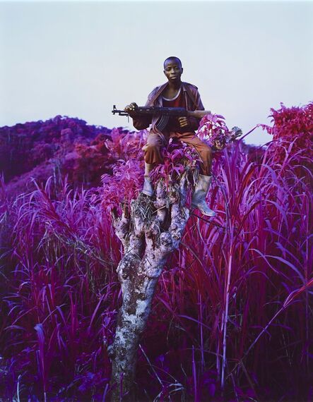 Richard Mosse, ‘Higher ground ’, 2012