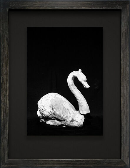 Oswaldo Ruiz, ‘El Cisne // The Swan’, 2020
