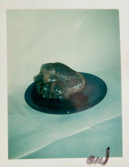 Andy Warhol, ‘Polaroid Photograph of a Heart on a Plate’, 1981