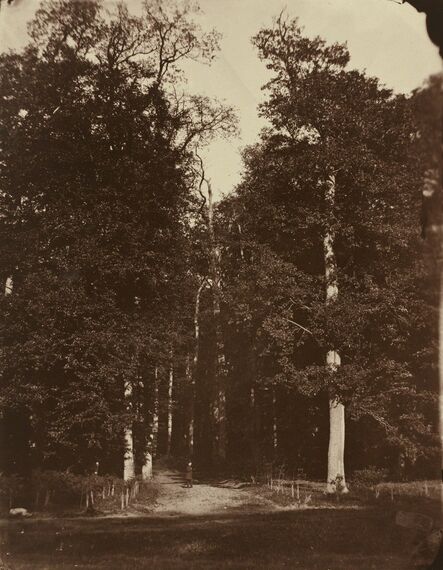 Louis-Rémy Robert, ‘Forest at Saint-Cloud’, 1859-1860
