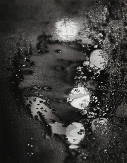 Minor White, ‘Beginnings, Frosted Window, Rochester, NY’, 1962