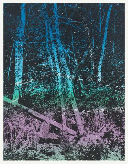 Sebastiaan Bremer, ‘The Sunken Forest’, 2023