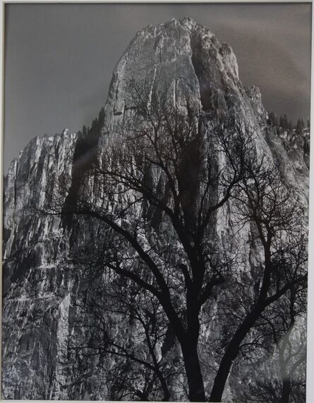 Ansel Adams, ‘Sentinel Rock, Oak Tree’, ca. 1949