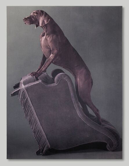 William Wegman, ‘Armed Chair’, 1993