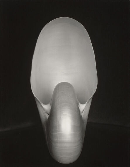 Edward Weston, ‘Shell’, 1927