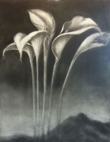 Helen Stanley, ‘Lilies’, 2011