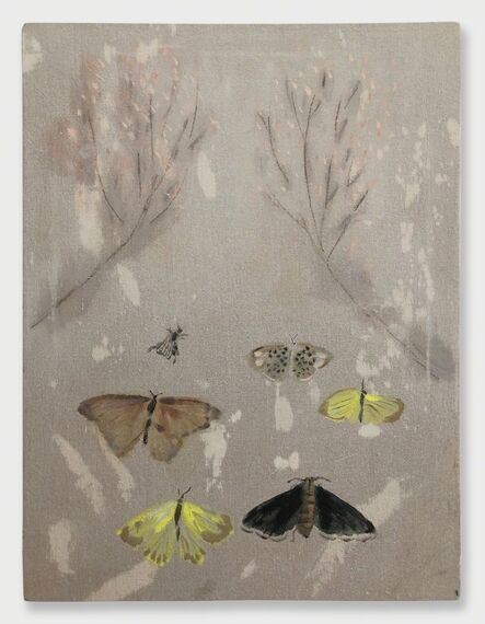 Mari Eastman, ‘Moths’