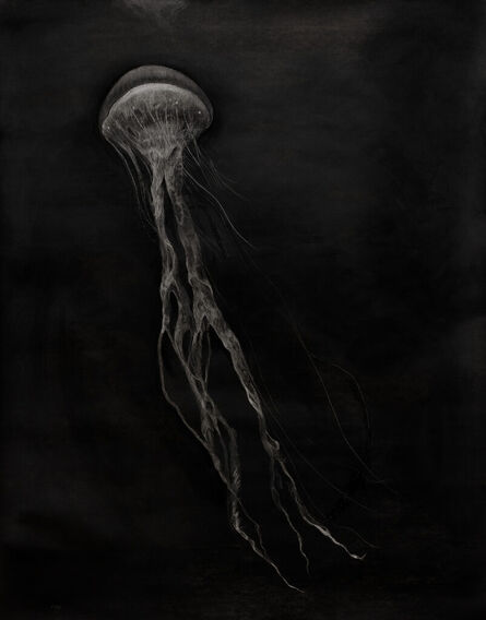 Cathrine Raben Davidsen, ‘Medusa (no. 1)’, 2022