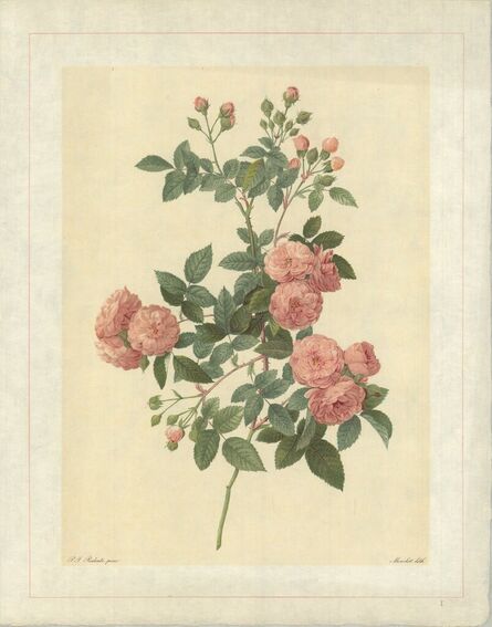 Pierre Joseph Redouté, ‘Rosa Multiflora Carnea; Rosier du Japon � fleurs carnees’, 1938