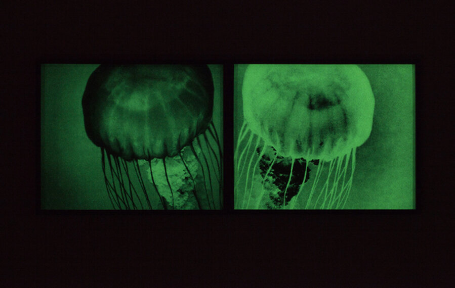 Medusae I