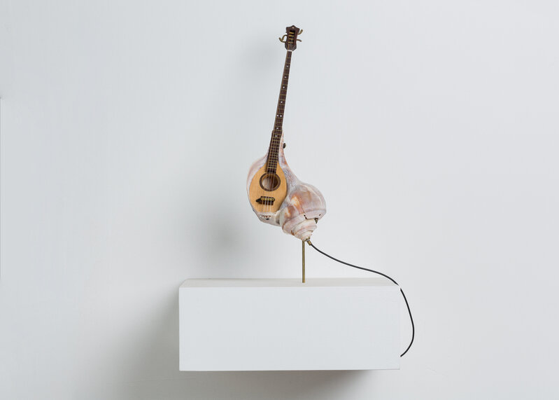 Kazumi Tanaka, ‘She Shall Mandolin’, 2016, Sculpture, Channeled whelk shell, wood, metal string, mother of pearl, old piano key, brass, Fridman Gallery