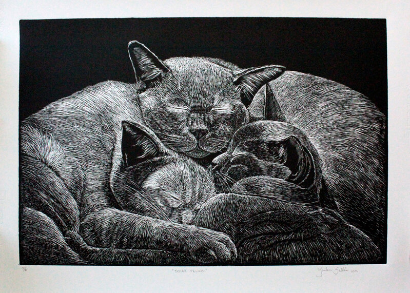 Yailen Sellén, ‘Solaz felino /  Feline zolas’, 2016, Print, Ink on paper, ArteMorfosis - Cuban Art Platform