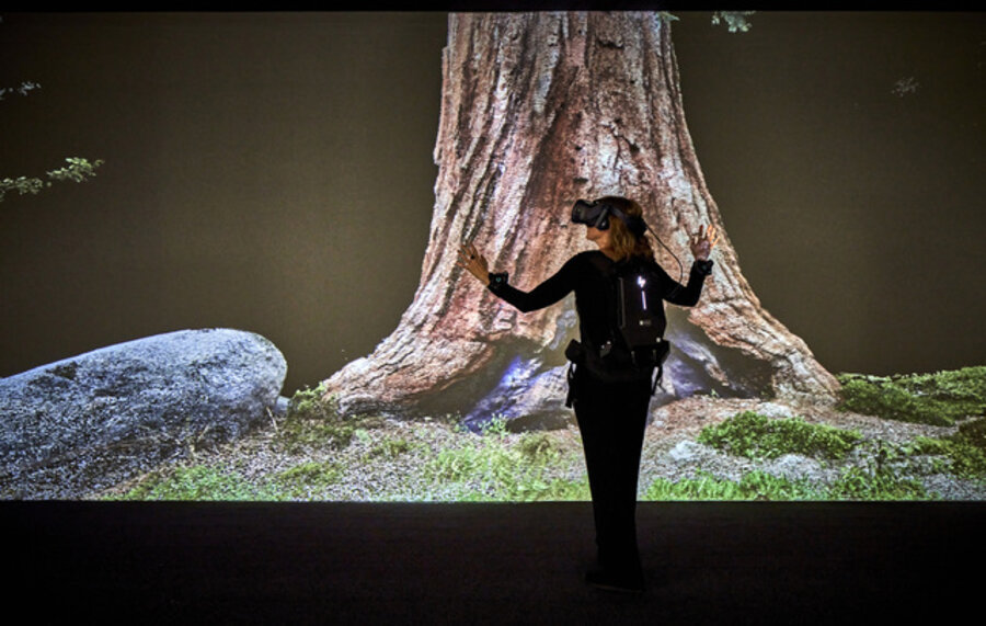 Treehugger: Wawona