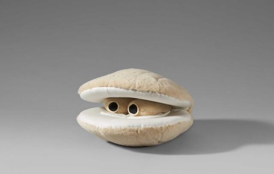 Scallop (Ghost Version)
