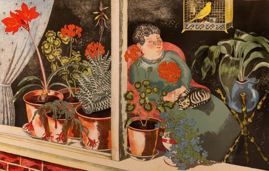 Window Plants