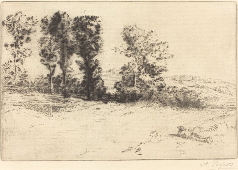Alphonse Legros, ‘Meadow in Sunshine (Le pre ensoleille)’, Print, Drypoint and etching (?), National Gallery of Art, Washington, D.C.