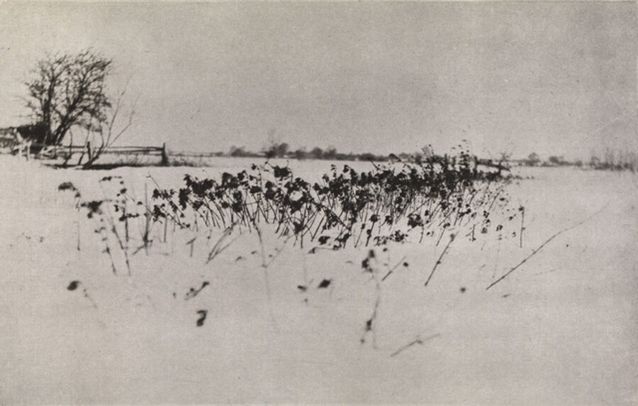 Snow Garden, from Marsh Leaves