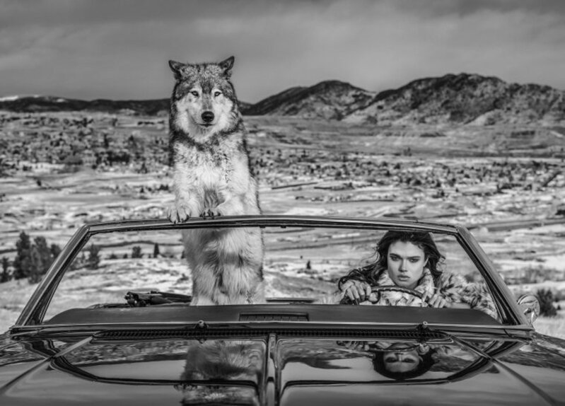 David Yarrow, ‘The richest hill in the world’, 2020, Photography, Technique: Archival Pigment Print, Petra Gut Contemporary