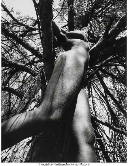 Lucien Clergue, ‘Nu de la Forêt’, 1973
