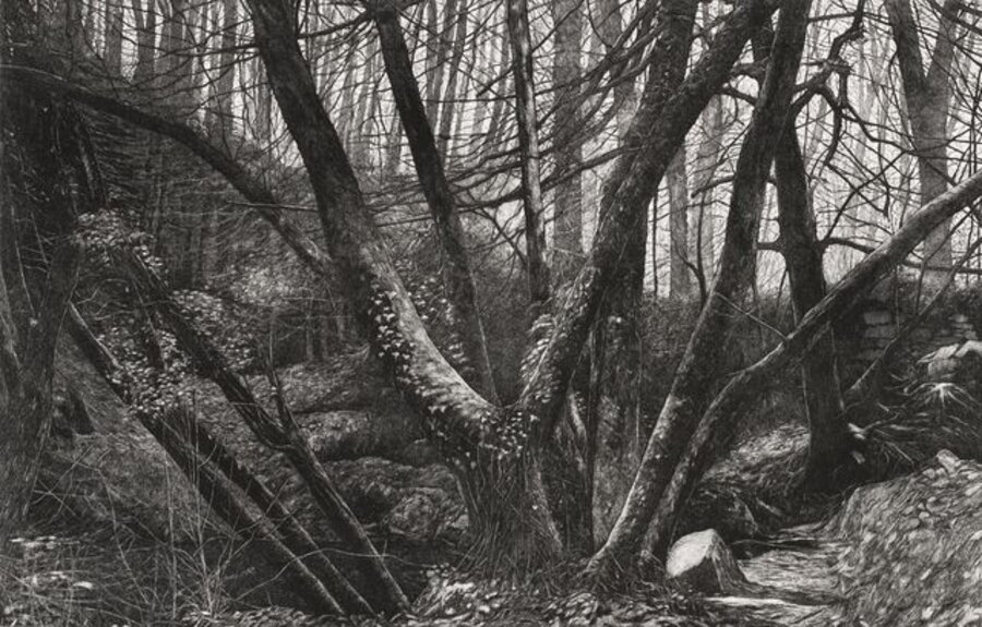Kennall Vale, Study I