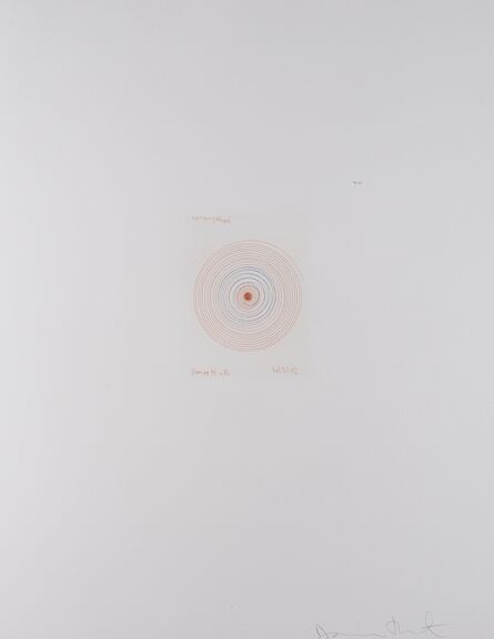 Damien Hirst, ‘Spinning Wheel (from In a Spin, The Action of the World on Things I)’, 2002