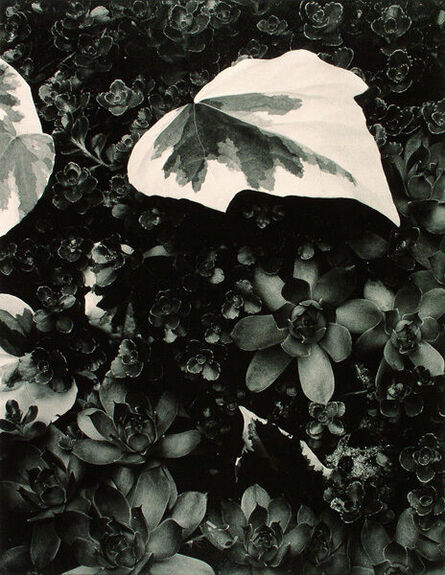 Paul Strand, ‘Portfolio Two’, 1957-1967