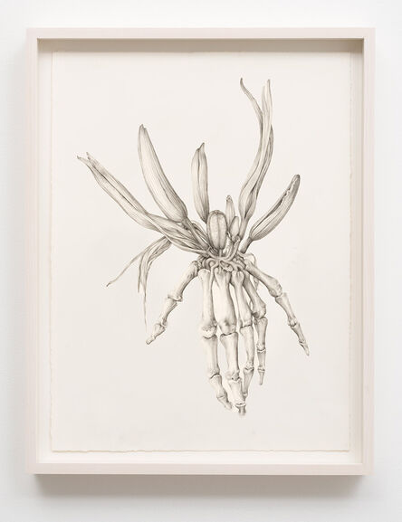 Aurel Schmidt, ‘Untitled (Skeleton Lily)’, 2014