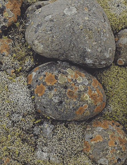 Eliot Porter, ‘Lichens on River Stones - South Coast’, 1975