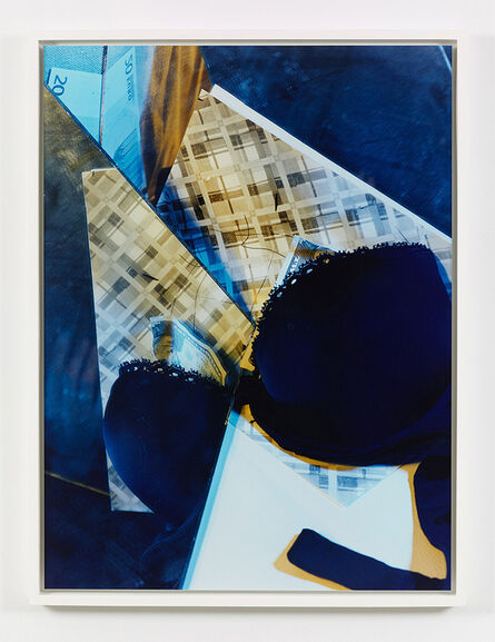 Eileen Quinlan, ‘Chromogenic print mounted on plexiglass’, 2011