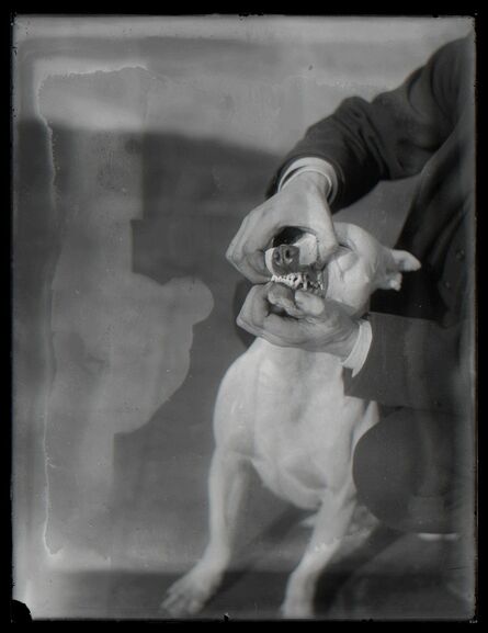 William van der Weyde, ‘Dog Training’, 1871-1929