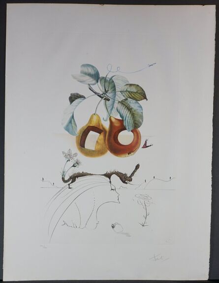 Salvador Dalí, ‘FlorDali/Les Fruits Fruit With Holes ’, 1969
