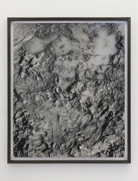 Talia Chetrit, ‘Mud’, 2011