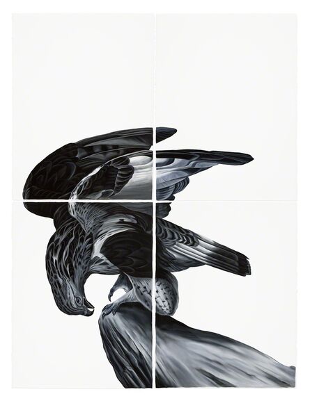 Shelley Reed, ‘Hawk (after Audubon)’, 2017