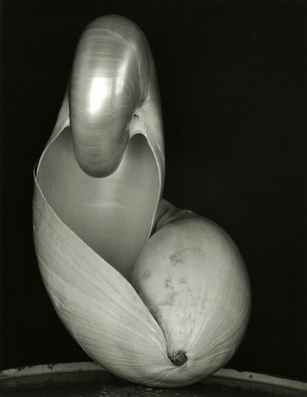 Edward Weston, ‘Two Shells’, 1927