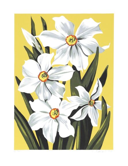 Lowell Nesbitt, ‘Daffodils ’, 1980