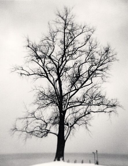 Michael Kenna, ‘Seefeldquai Tree, Study 1, Zurich, Switzerland’, 2013