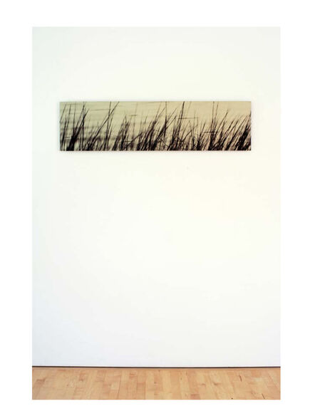 Ray Charles White, ‘Deep Creek Grass’, 1999