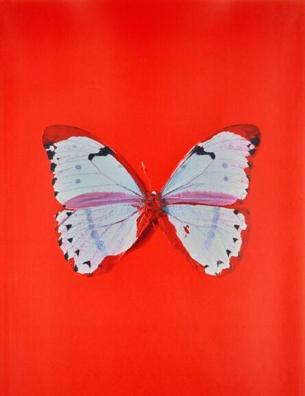 Damien Hirst, ‘Large butterfly (red)’, 2005