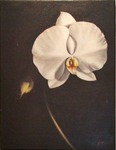 J.T. Grant, ‘Untitled (Orchid)’, 2007