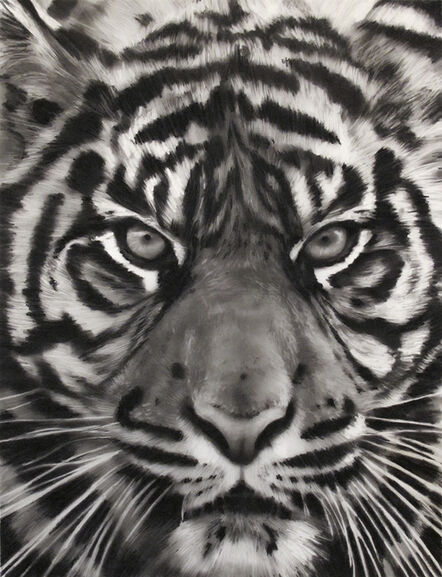 Robert Longo, ‘study of Tiger’, 2011