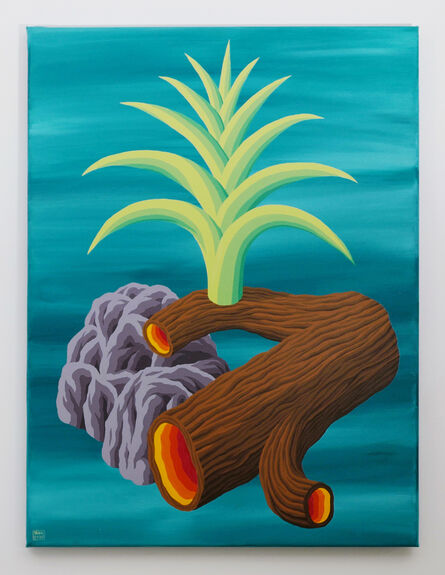 Michael Yaikel, ‘Tronco, Planta y Piedra’, 2020
