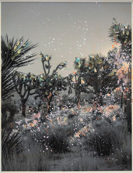 Nanna Hänninen, ‘Morning Sun in Color #1 (Joshua Tree National Park)’, 2024