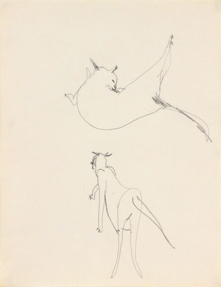 Dorothy Cantor, ‘Untitled (cat grooming and walking)’, 1955-1957