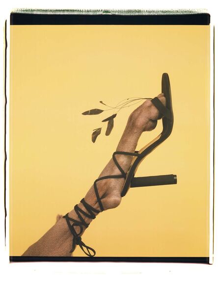 William Wegman, ‘Feathered Footwear’, 1999