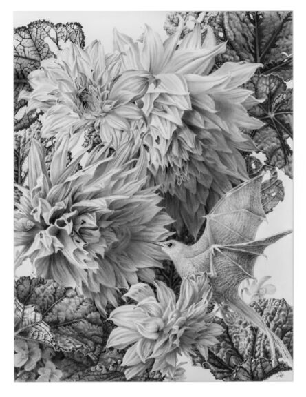 Stephanie Anderson, ‘petals’, 2022