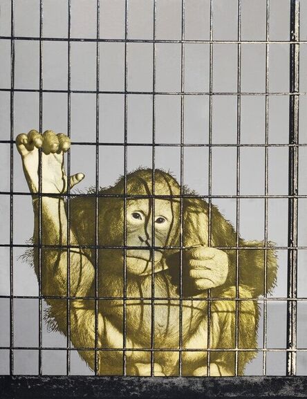 Michelangelo Pistoletto, ‘Scimmia’, 1972