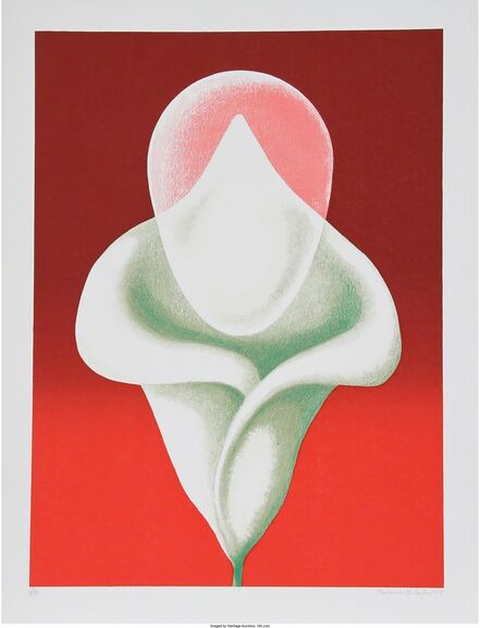 Clarence Holbrook Carter, ‘Abstract Tulip’, 1979